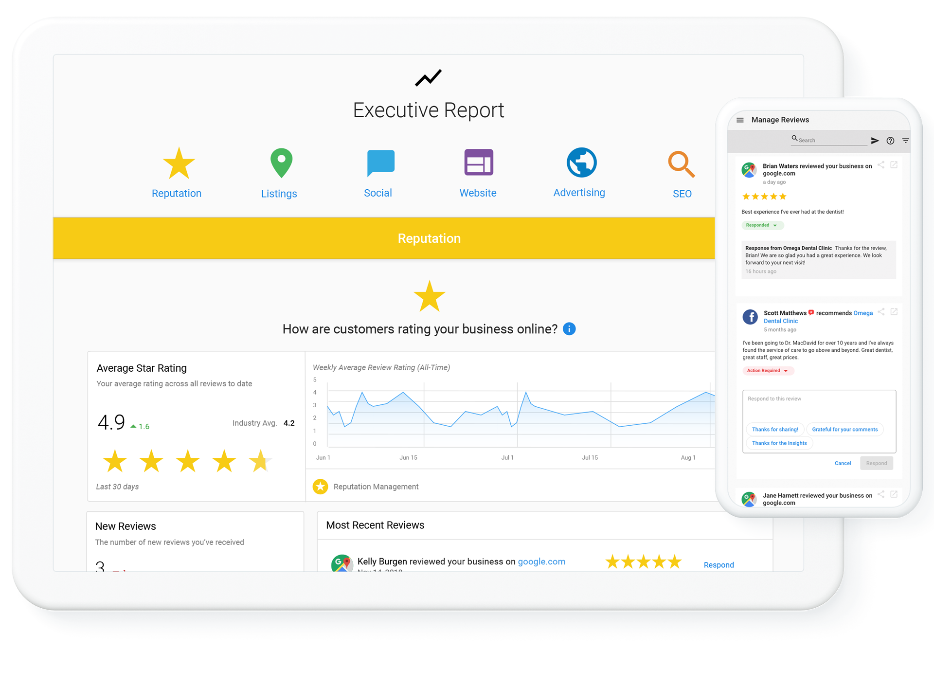 Website graphic - Executive Report